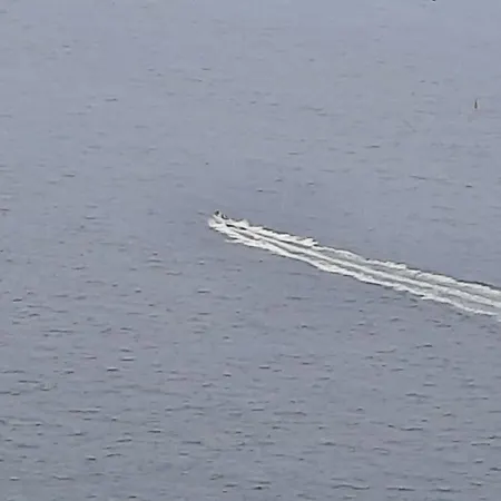 Appartement Zeza's Sky Calheta (Madeira)